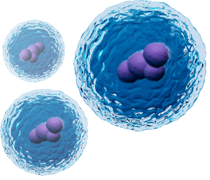 Myeloproliferative neoplasms (MPN) cells.