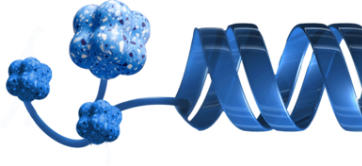 BET protein acting on DNA.