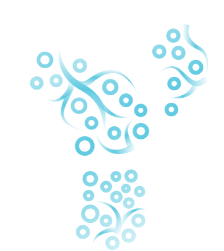 Bone marrow fibrosis.